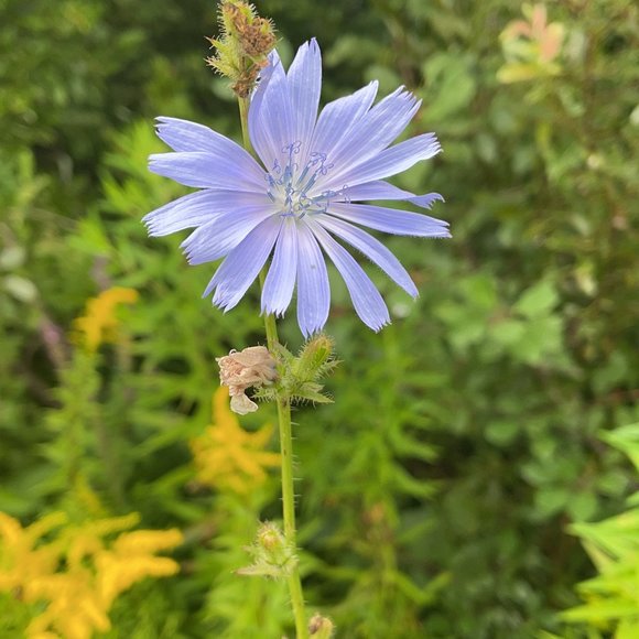 Meet your Posher, Charlotte - Picture 1 of 1